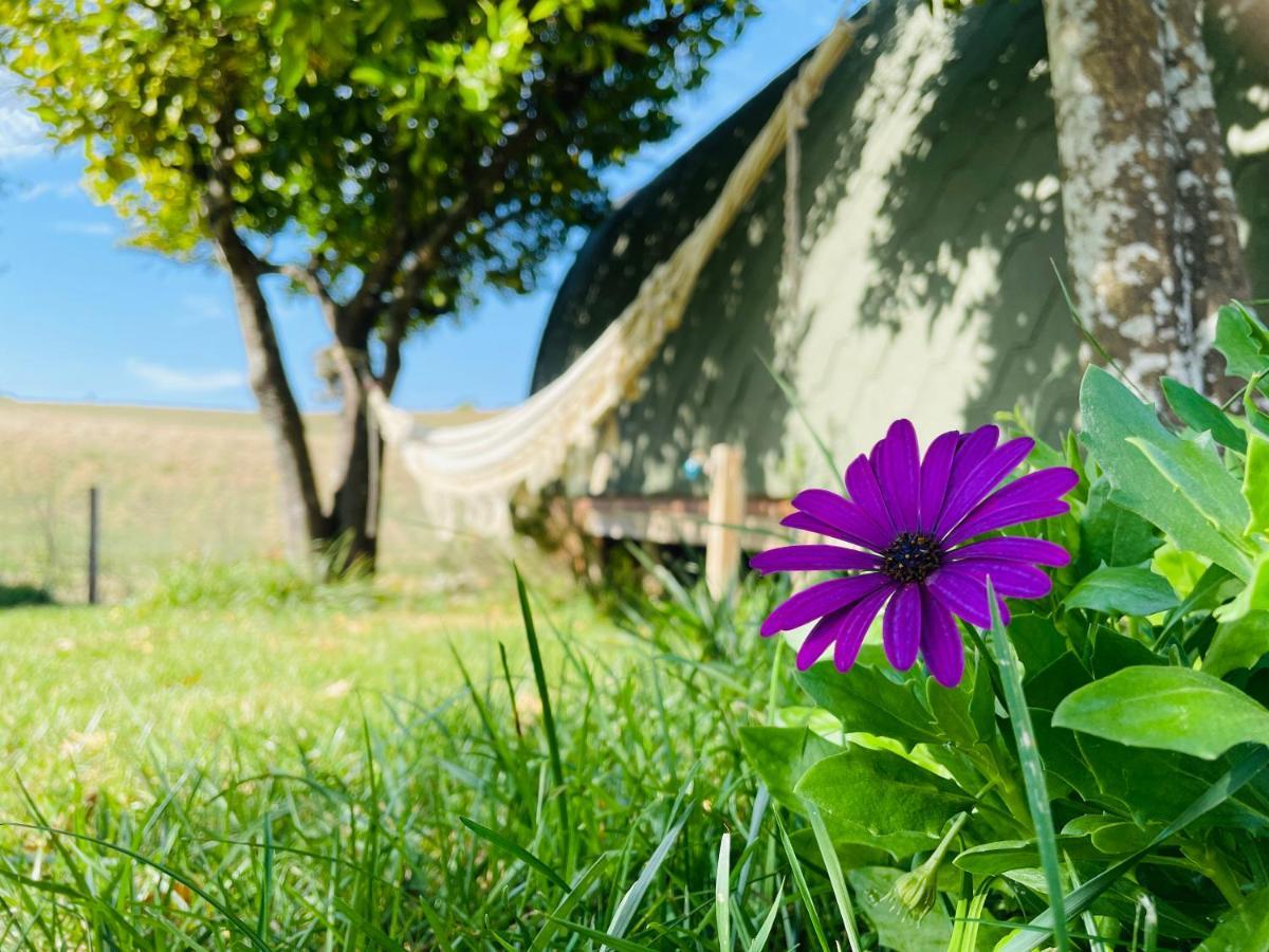 Corredoura Glamping Turquesa, Feel And Relax In A Wood House 게스트하우스 외부 사진